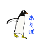 人なつっこいペンギン（個別スタンプ：6）