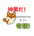 食いしん坊な犬 日本語台湾語（個別スタンプ：9）