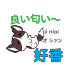 食いしん坊な犬 日本語台湾語（個別スタンプ：10）