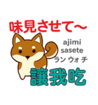 食いしん坊な犬 日本語台湾語（個別スタンプ：24）