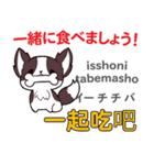 食いしん坊な犬 日本語台湾語（個別スタンプ：25）