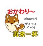 食いしん坊な犬 日本語台湾語（個別スタンプ：34）