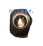 うさぎのランドさん 第2弾 #land#rabbit#（個別スタンプ：6）