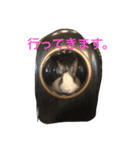 うさぎのランドさん 第2弾 #land#rabbit#（個別スタンプ：7）