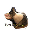 うさぎのランドさん 第2弾 #land#rabbit#（個別スタンプ：9）