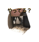 うさぎのランドさん 第2弾 #land#rabbit#（個別スタンプ：10）