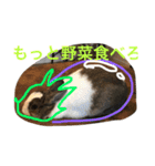 うさぎのランドさん 第2弾 #land#rabbit#（個別スタンプ：14）