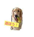 え、俺ランディ。（個別スタンプ：1）