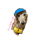 え、俺ランディ。（個別スタンプ：5）