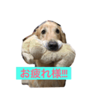 え、俺ランディ。（個別スタンプ：8）