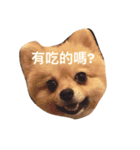 The sweet life（個別スタンプ：1）