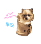 The sweet life（個別スタンプ：6）