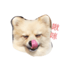 The sweet life（個別スタンプ：8）