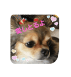 まかろん2（個別スタンプ：9）