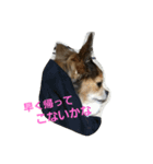 まかろん2（個別スタンプ：13）