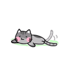 The lazy cattttt（個別スタンプ：4）