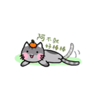 The lazy cattttt（個別スタンプ：5）