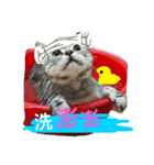 fat daily（個別スタンプ：4）