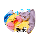 fat daily（個別スタンプ：8）
