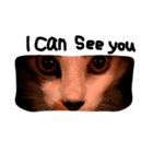三毛猫おかきと白黒まろ。（個別スタンプ：8）