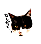 三毛猫おかきと白黒まろ。（個別スタンプ：14）