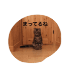 とらおとくろ（個別スタンプ：8）