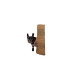 mutta2（個別スタンプ：8）