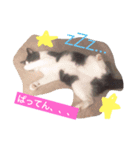 猫好きな人へ（個別スタンプ：4）