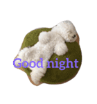 Rodem the Bichon  English Ver.（個別スタンプ：5）