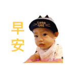 momo cool sticker（個別スタンプ：1）