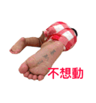 momo cool sticker（個別スタンプ：11）