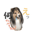 くうやん（個別スタンプ：1）