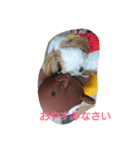 す～ちゃん（個別スタンプ：1）