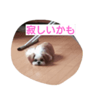 す～ちゃん（個別スタンプ：5）