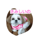 す～ちゃん（個別スタンプ：7）