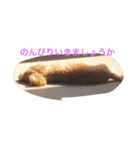 役に立つ挨拶（個別スタンプ：1）