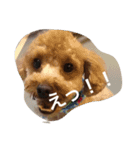 役に立つ挨拶（個別スタンプ：2）