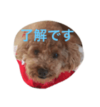 役に立つ挨拶（個別スタンプ：3）