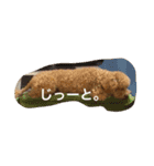 役に立つ挨拶（個別スタンプ：5）