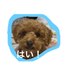 役に立つ挨拶（個別スタンプ：6）