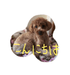 役に立つ挨拶（個別スタンプ：10）