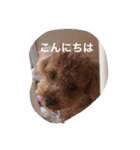 役に立つ挨拶（個別スタンプ：11）