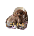 役に立つ挨拶（個別スタンプ：14）