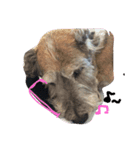 DOG LIFE2（個別スタンプ：4）