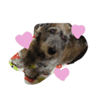 DOG LIFE2（個別スタンプ：7）