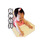 A-mimi（個別スタンプ：7）