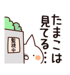 【たまこ】専用（個別スタンプ：23）