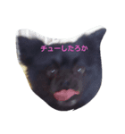 我が家の愛犬、くろ（個別スタンプ：2）