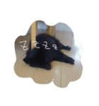 我が家の愛犬、くろ（個別スタンプ：5）