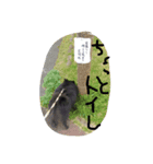 我が家の愛犬、くろ（個別スタンプ：6）